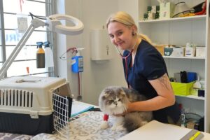 Anette-Kull_pesaliedja-loomakliiniku-veterinaar