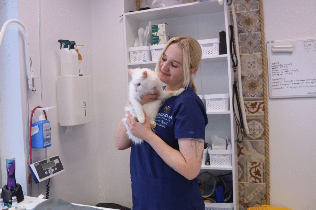 Kassi steriliseerimineTallinnas