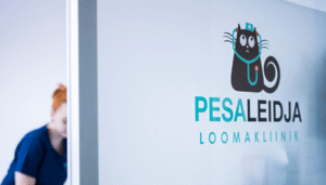 Loomakliinik Tallinnas Mustamäel Pesaleidja Loomakliinik